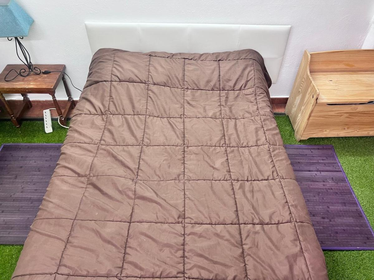 グラナダCasa Ideal Familias Y Grupos Con Balcones Exterior Soleada Patios Cerca Alhambra, Sierra Nevada, Rio Genil, Lancha Del Genil, Parque Llano Y Reloj Del Sol Con Barbacoas, Campo De Futbol, Circuito Gimnasiaアパートメント エクステリア 写真